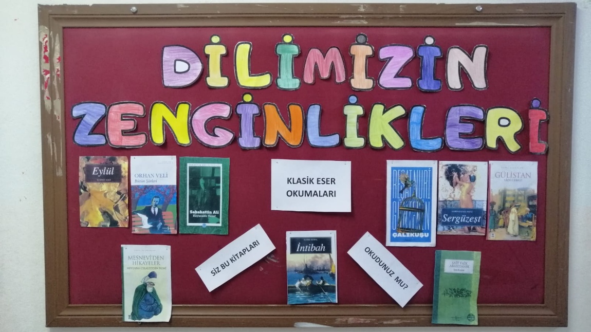 Dilimizi Zenginlikleri Projesi